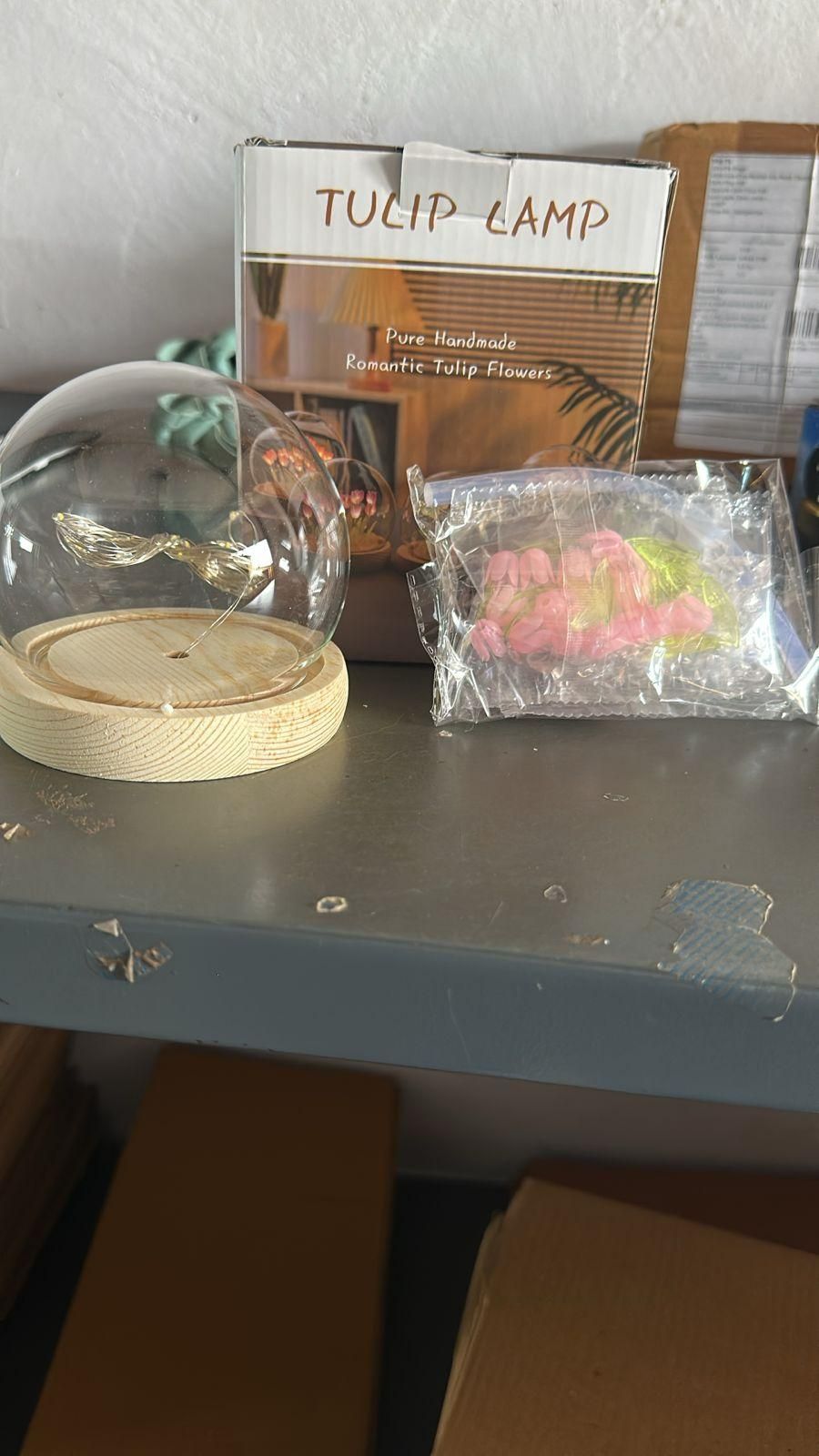 🌷 Round Tulip Light